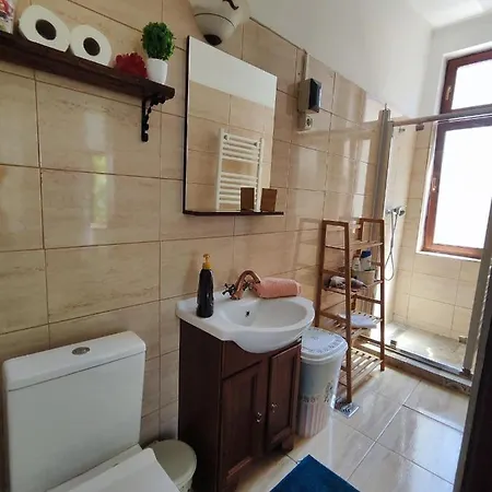 Apartament Buon Gusto,Near Main Square And Liar Bridge,Historical Side Of City Center Sibiu Exterior photo